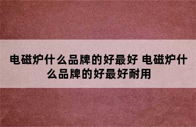 电磁炉什么品牌的好最好 电磁炉什么品牌的好最好耐用